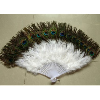 Quạt lông công 21 mắt 16 mầu đủ các màu sắc