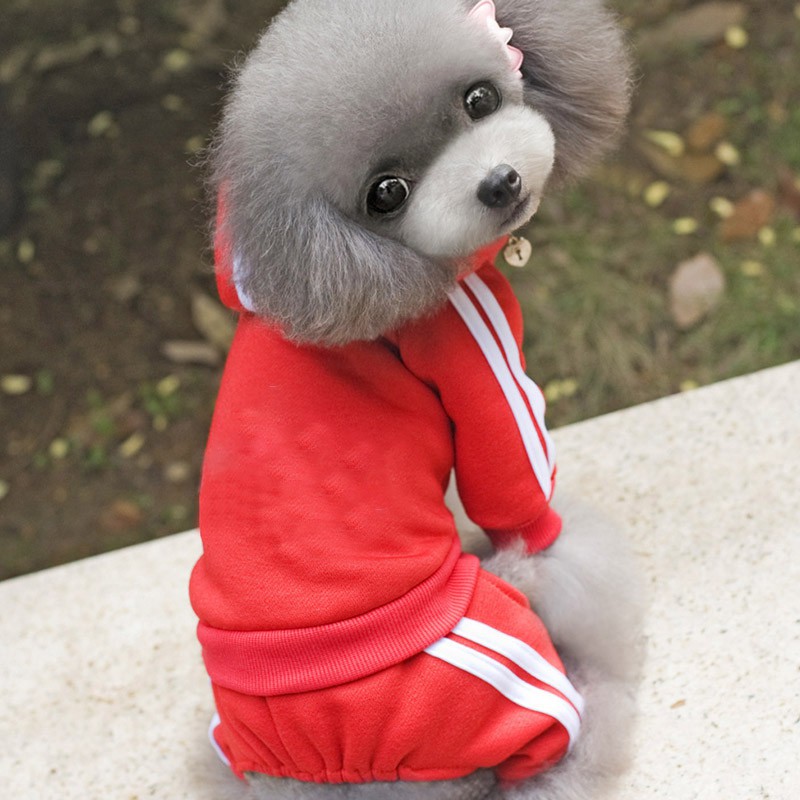 Áo Liền Quần Có Nón Cho Chó Mèo Thỏ Chó Con