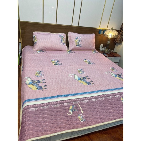 Chiếu điều hòa cao su non kèm 2 vỏ gối Latex nhập khẩu chính hãng