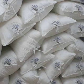 Ruột Gối Lavender