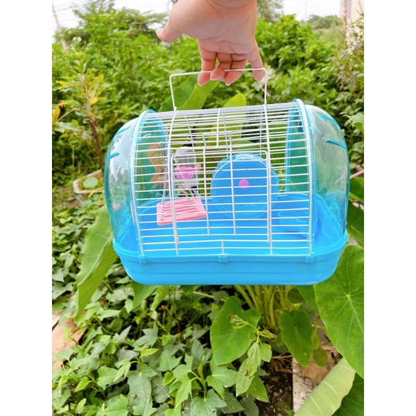 Lồng tổ chim mica mái vòm. Lồng mica nuôi hamster. Lồng phi thuyền nuôi hamster