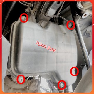 (Ốc zin) Bộ ốc dàn áo xe Star SR 125