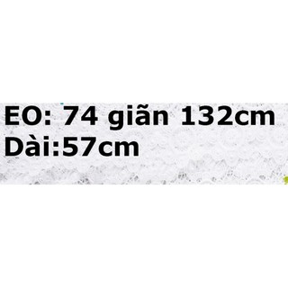 quần ngố bigsize