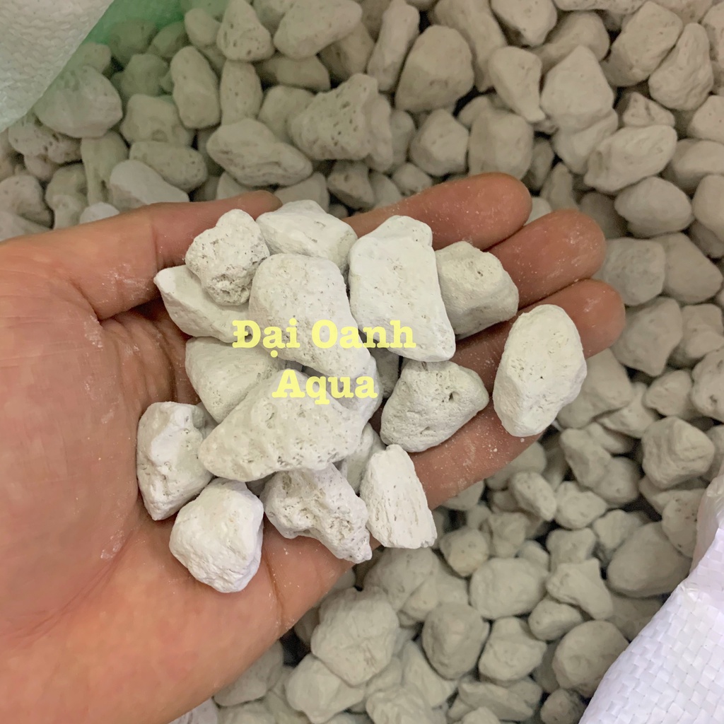 100gr Đá Lông Vũ (Nham Thạch Trắng) size 1-2cm Lọc Nước Bể Cá