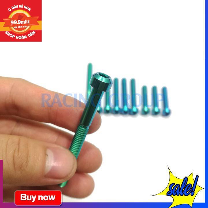 Bộ ốc lốc máy Vario GR5 (10 con 2 con 6li65, 4 con 6li30, 4 con 6li40)