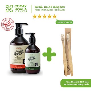 Combo Dầu Gội - Dầu xả Gừng COCAYHOALA với 90% là Gừng - Đặc biệt có xác Gừng tươi - Trị Tóc khô, rối, rụng nhiều