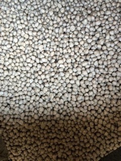 200g Phân chì tan chậm Nhật Bản 14-13-13