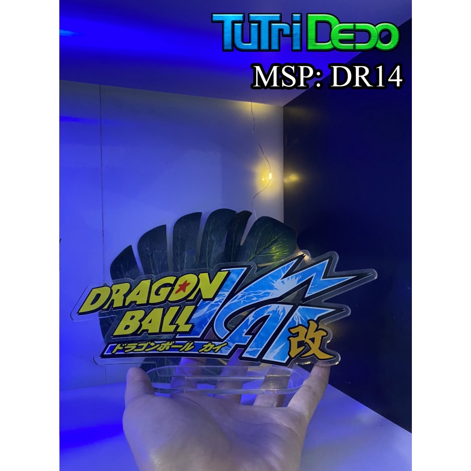 Logo Dragon Ball -One Piece.