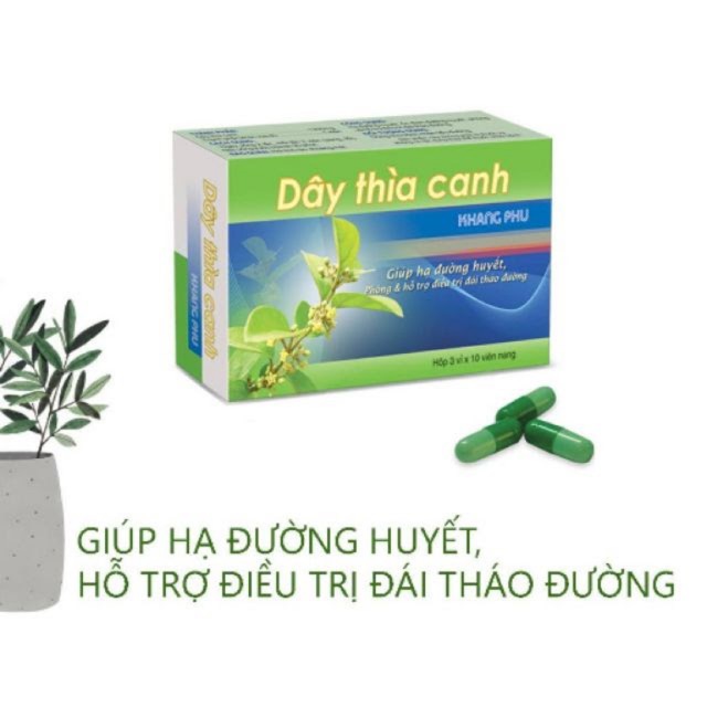 Viên Dây thìa canh Khang Phú (hộp 30 viên)