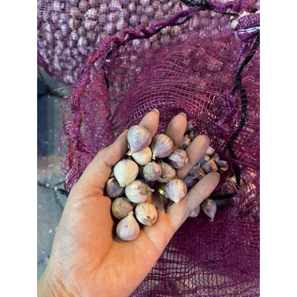 100g tỏi cô đơn