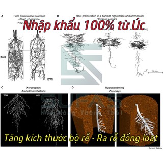 Phân bón lá sinh học SUFAS ĐEN  100ML