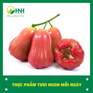 [CHỈ GIAO HÀ NỘI] Quả roi tươi ngon mỗi ngày - HNH Food Farm