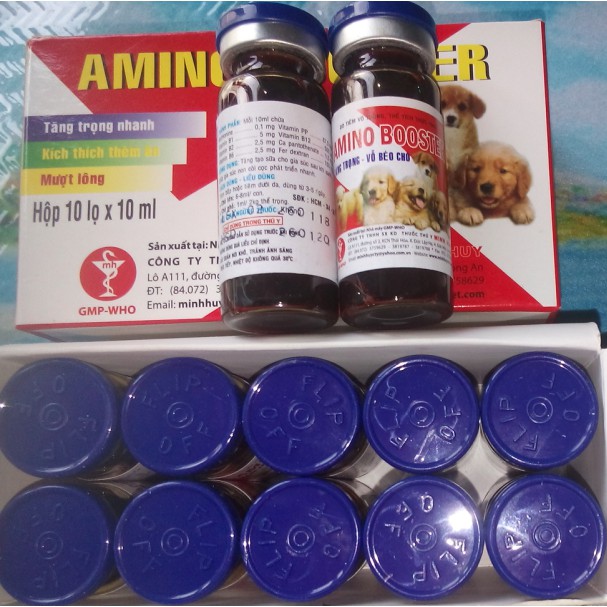 Thuốc tăng trọng - vỗ béo - tăng tiết sữa cho chó Amino Booster 10ml