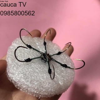 Lưỡi lục dáng soài