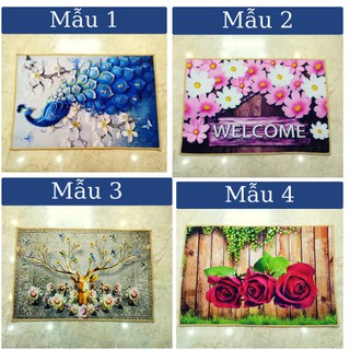 Thảm lau chân họa tiết 3D (chọn màu)