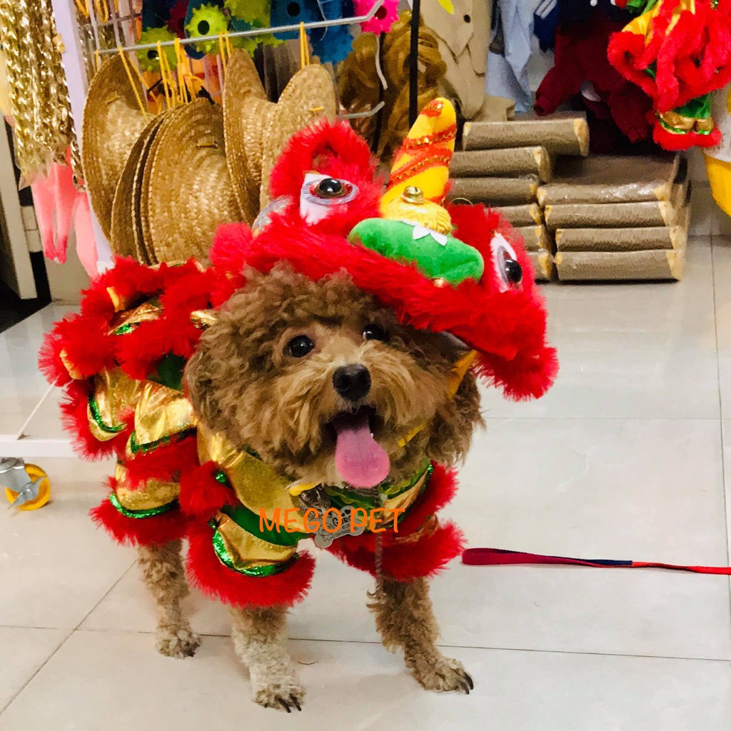 BỘ ĐỒ MÚA LÂN CHO CHÓ MÈO - ĐỒ COSPLAY KỲ LÂN CAO CẤP