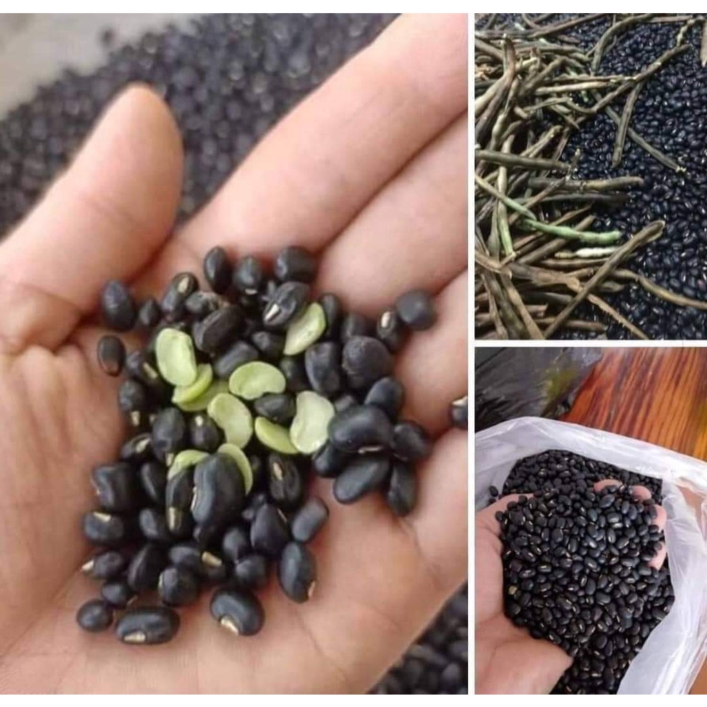 Đỗ đen hữu cơ nguyên hạt xanh lòng loại 1kg