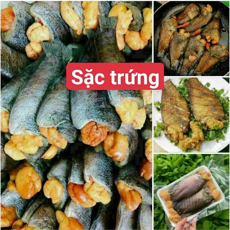 CÁ SẶC TRỨNG 1 NẮNG.500g