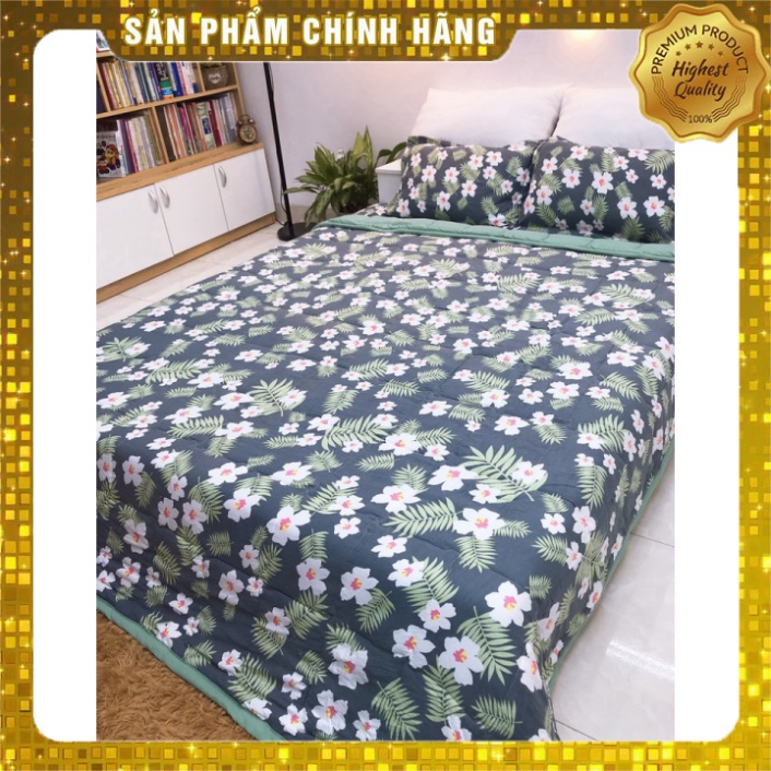 Set chăn ga 5 món thun lạnh hàn quốc cực kỳ mềm mại dùng được 4 mùa nhiều màu sắc nhã nhặn | BigBuy360 - bigbuy360.vn