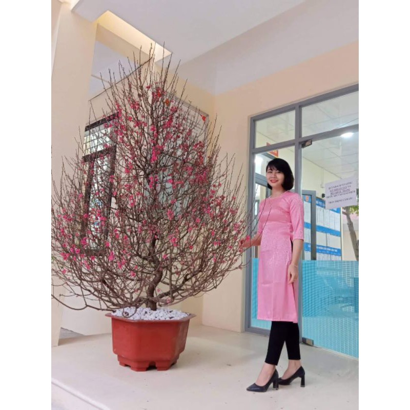 Sale áo dài cách tân lụa vân gấm ( nguyên áo)