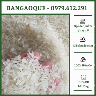 1Kg Gạo Bắc Thơm - Gạo Tám Thơm Vùng Lúa Thái Bình, Nam Định