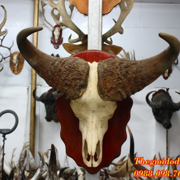 Sungnhapkhau