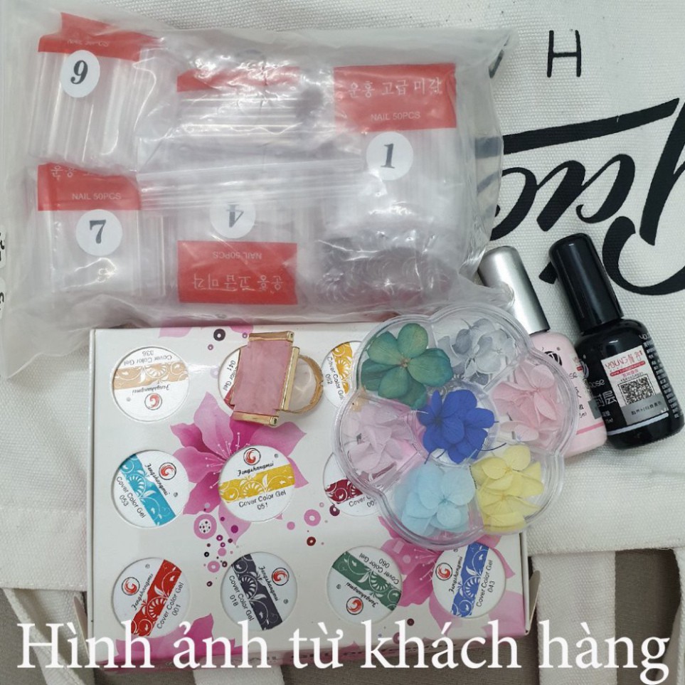 Hoa khô trang trí móng tay - Set 7 màu hoa khô nail, cánh hoa to và mỏng đắp ẩn theo phong cách Hàn Nhật H76