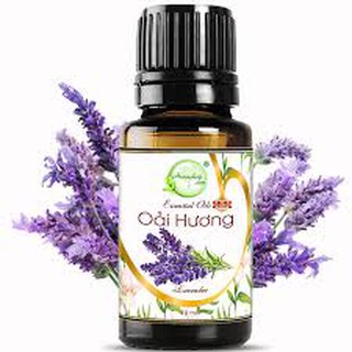 Tinh dầu oải hương 10ml 50ml 100ml.