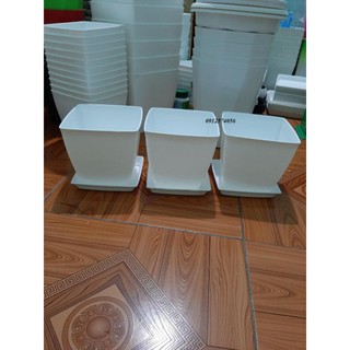 Bộ chậu trồng cây và đĩa lót nhựa màu trắng rộng 15cm x cao 15cm
