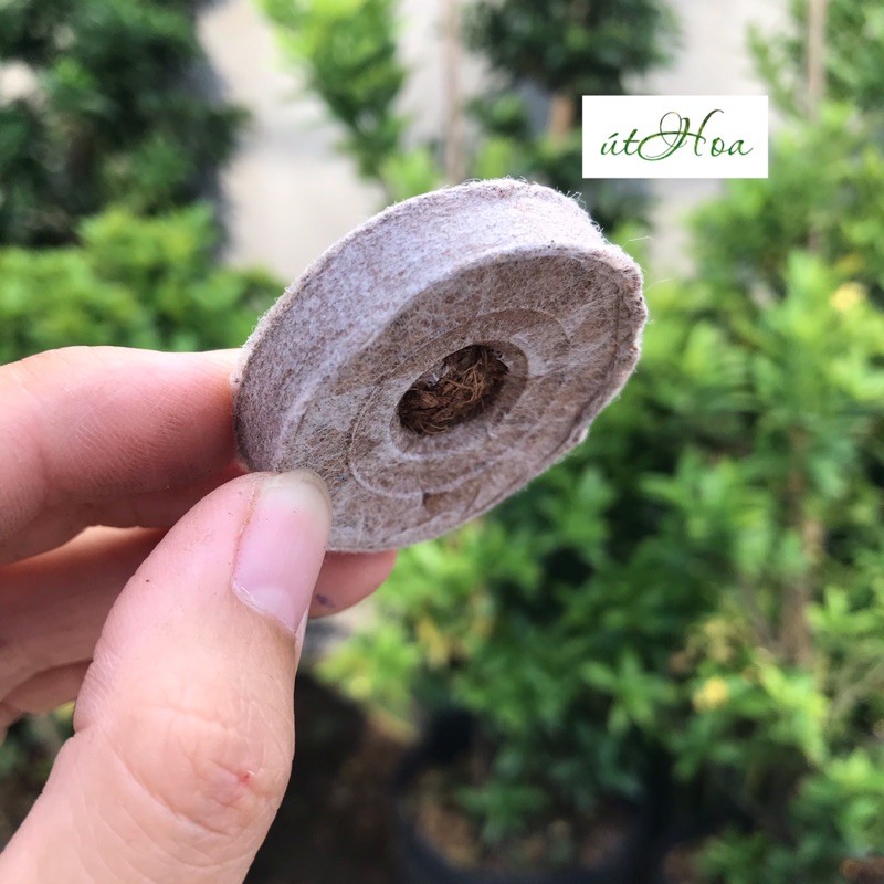 Sỉ 1 thùng viên nén (1000 viên) Mekong - Hàng xuất khẩu