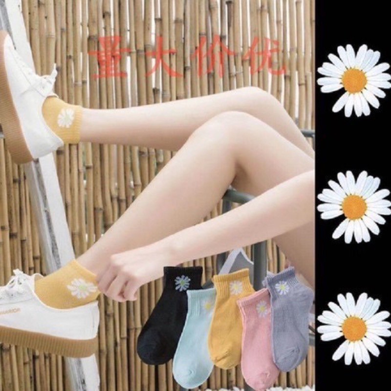 Tất vớ nữ cổ ngắn hoạ tiết hoa cúc Cotton Hàn Quốc
