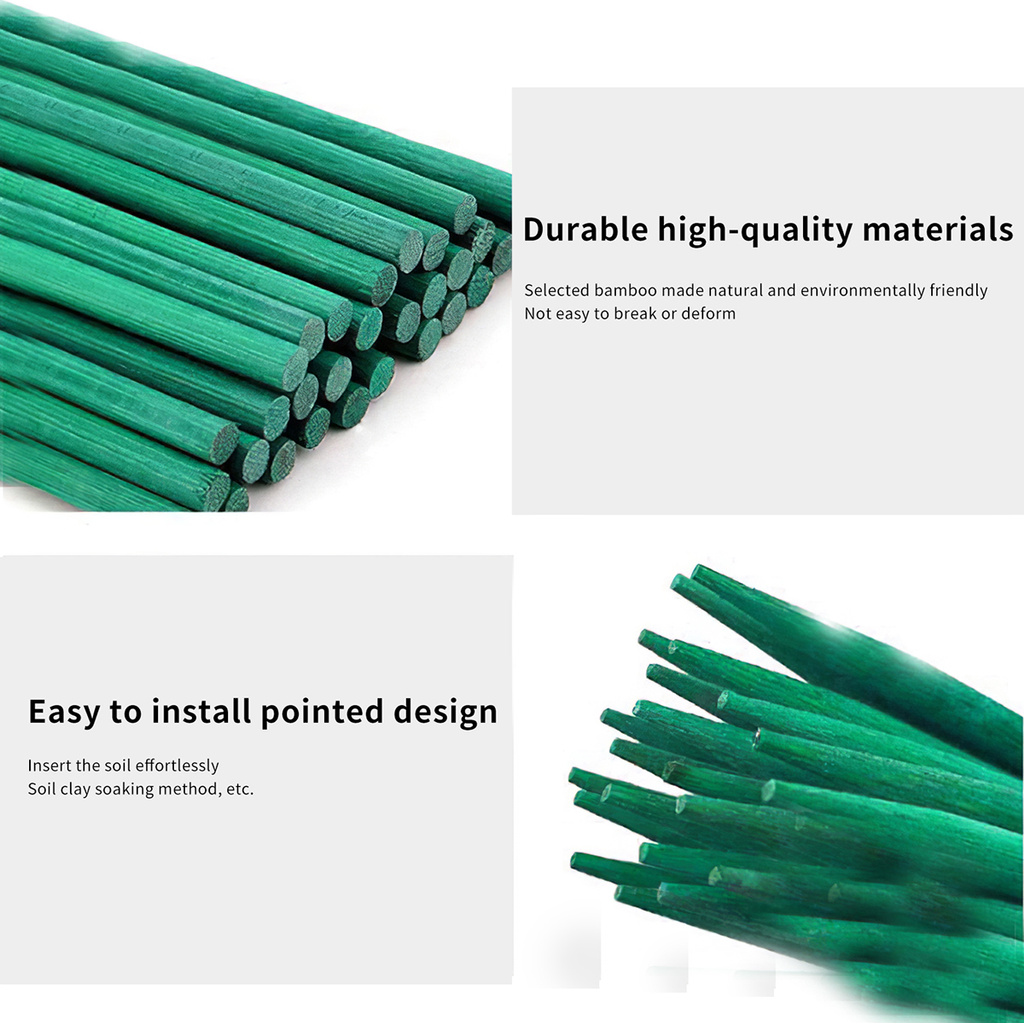 Cọc tre LILYES hỗ trợ trồng cây cứng cáp 40cm chất lượng cao