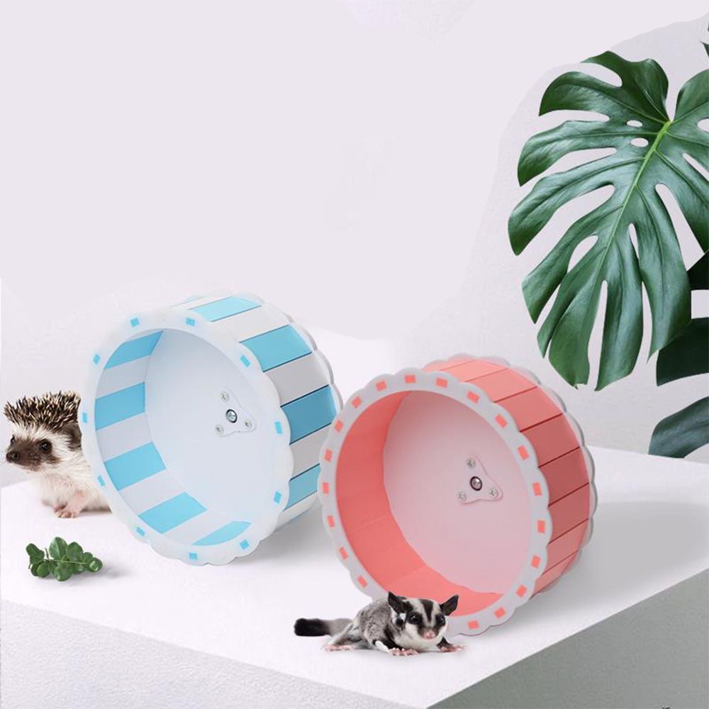 Đồ Chơi Vòng Quay Tập Thể Dục Cho Chuột Hamster|Lồng Gấu / Nhiều Màu