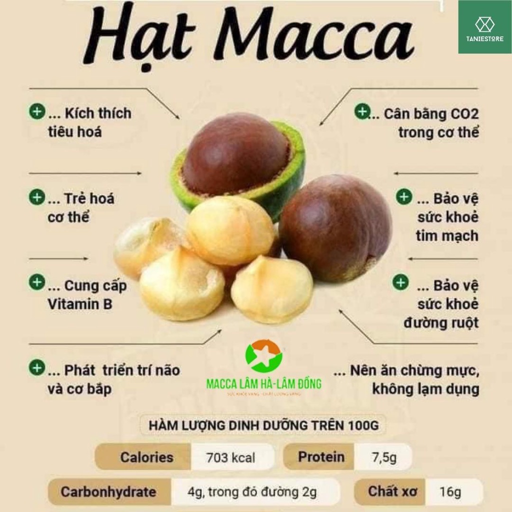 Hạt macca nứt vỏ Đăk Lăk organic giàu dinh dưỡng, tốt cho tim mạch