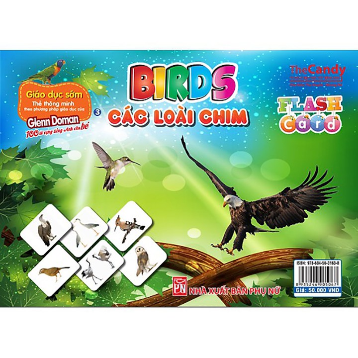 Flashcard - Dạy Trẻ Theo Phương Pháp Glenn Doman - Birds – Các loài chim