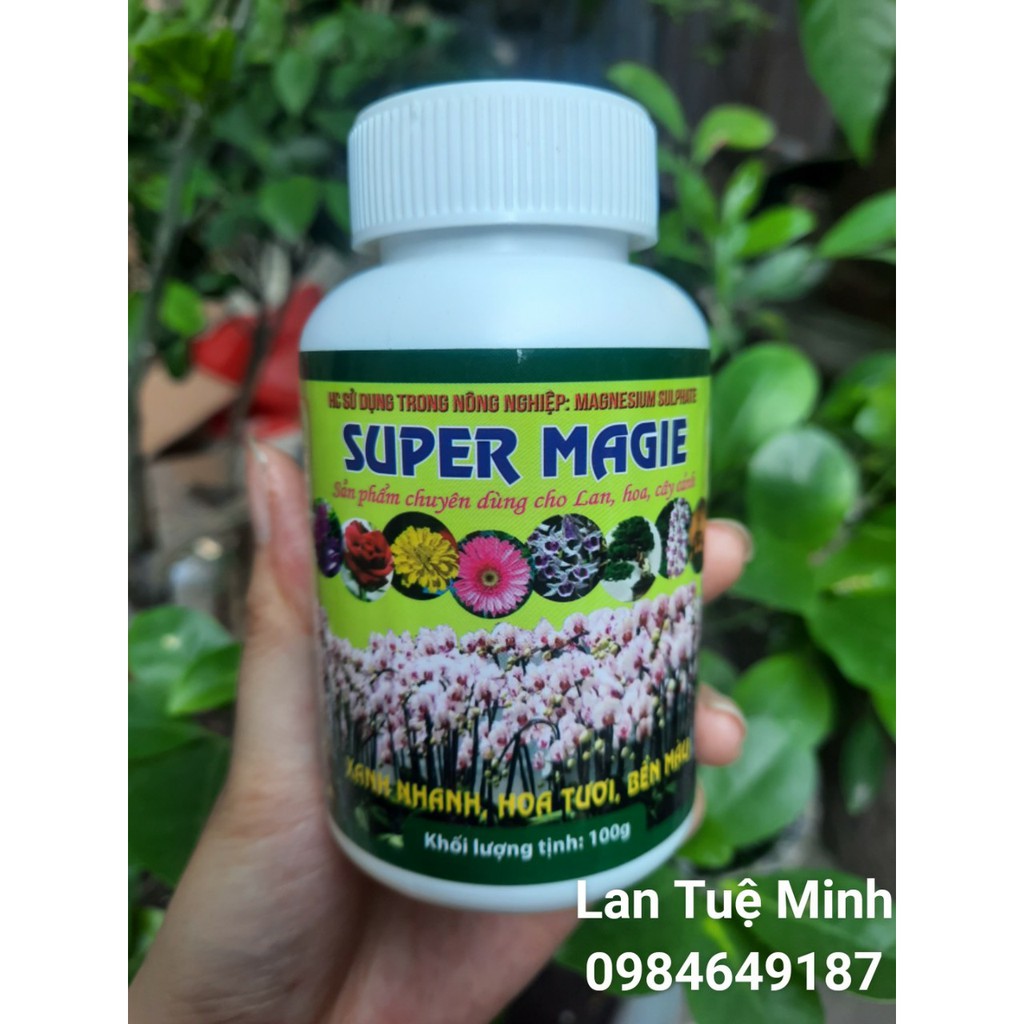 Super Magie phát triển Đỉnh Ngọn CỰC MẠNH dạng 100g