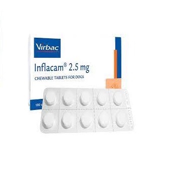 1 vỉ 10 viên nhai Inflacam 2,5mg giảm viêm, giảm đau trên chó