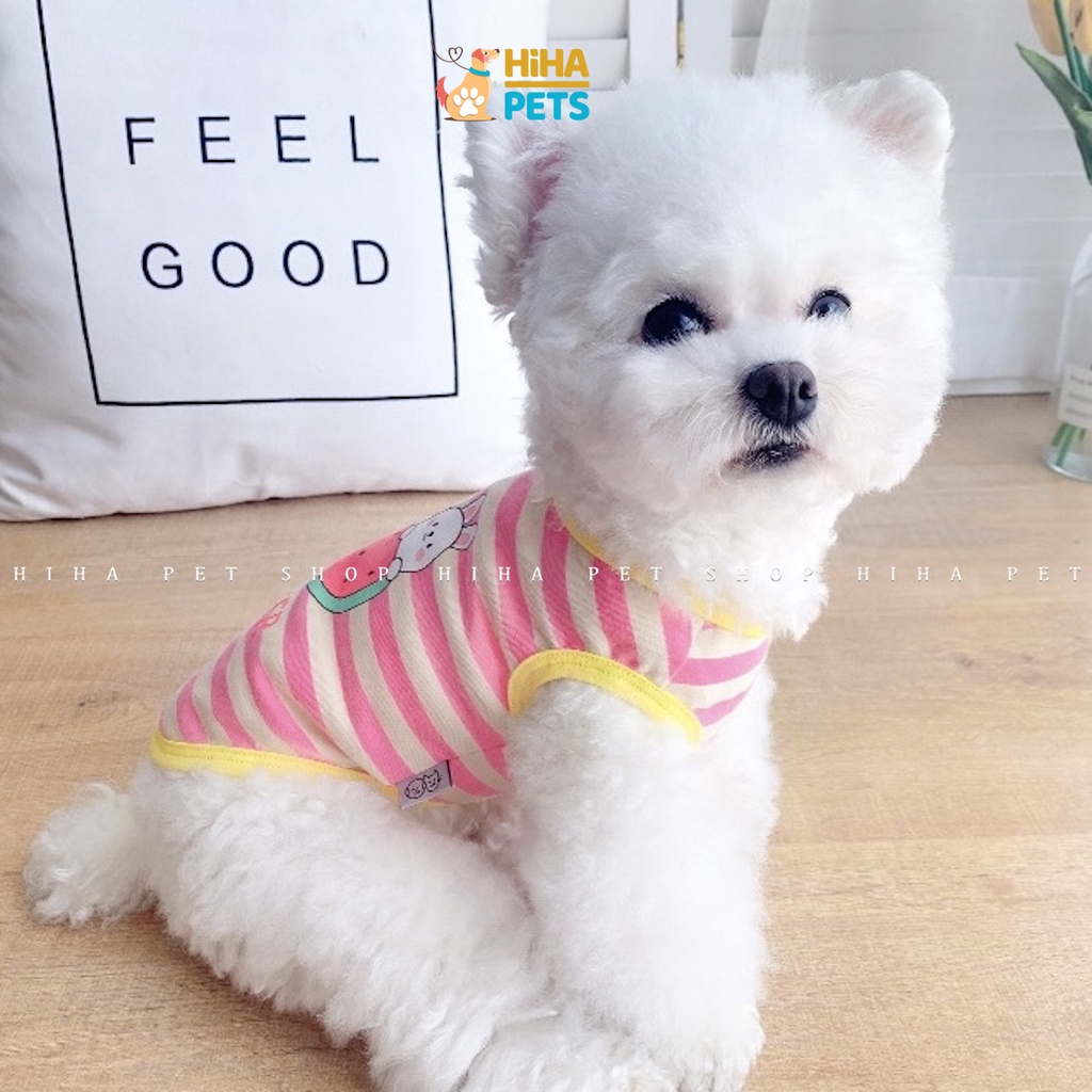 Áo Thun Ba Lỗ Cún Mèo Chất Liệu Thun Cotton Mát Mẻ Mùa Hè Quần Áo Thú Cưng Thời Trang Cao Cấp Hihapet.