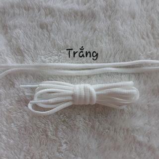 Dây Giày oval 1