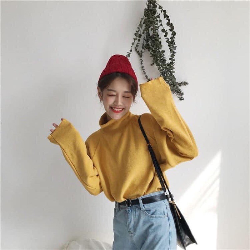 Áo len tăm mỏng cổ cao