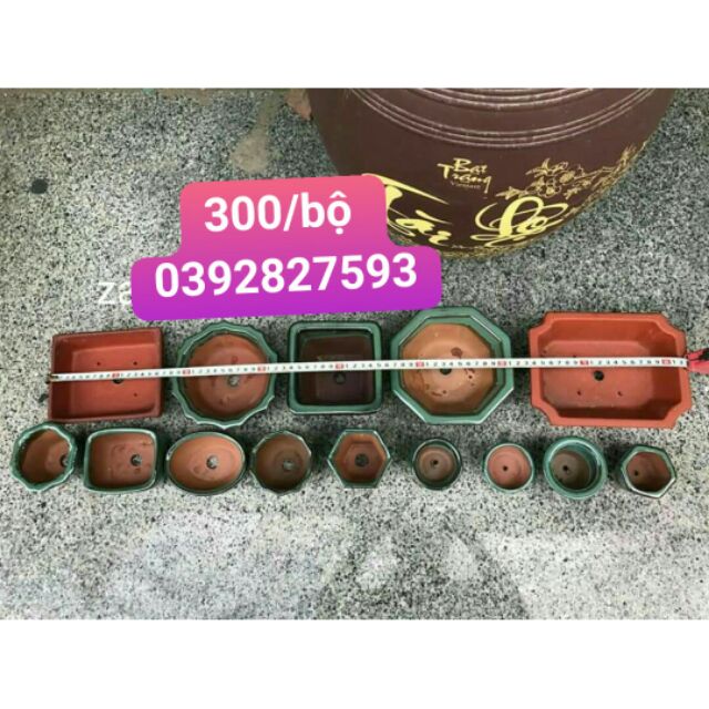Combo  chậu  bonsai  Cao cấp