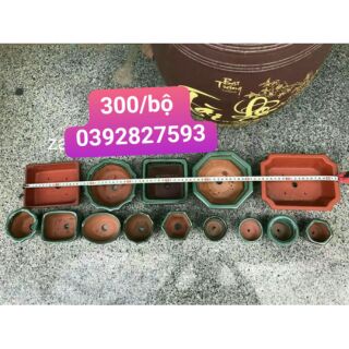 Combo  chậu  bonsai  Cao cấp