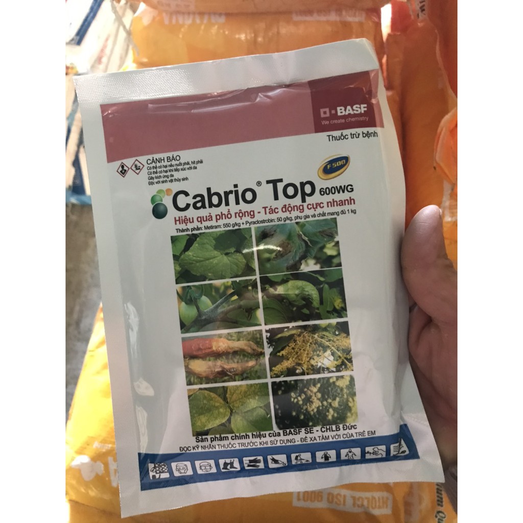 Thuốc trừ bệnh Cabrio Top 600wg (gói 100gr)