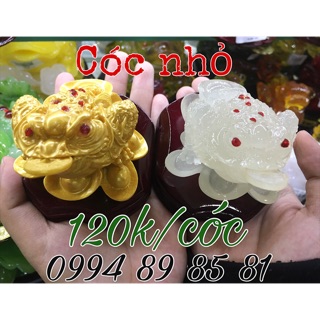 Cóc ngậm tiền phong thuỷ