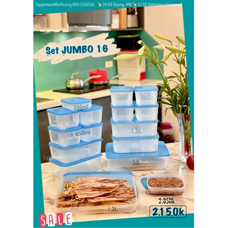 Bộ hộp trữ đông Jumbo Set 16 hộp - Tupperware