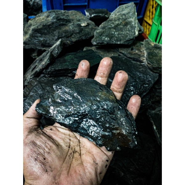 Đá Trầm Tích Đen (1KG)| Trang Trí Setup Bể Thủy Sinh, Biotope, Blackwater| Mua Nhiều Giảm Giá