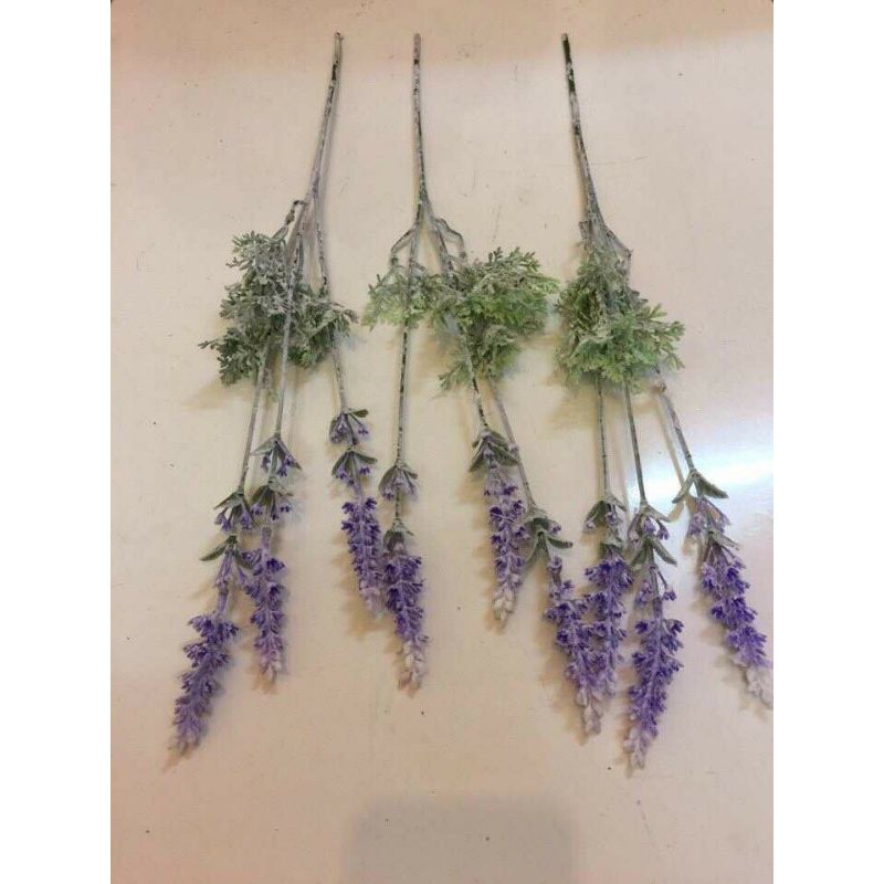 hoa giả - lavender ( oải hương)