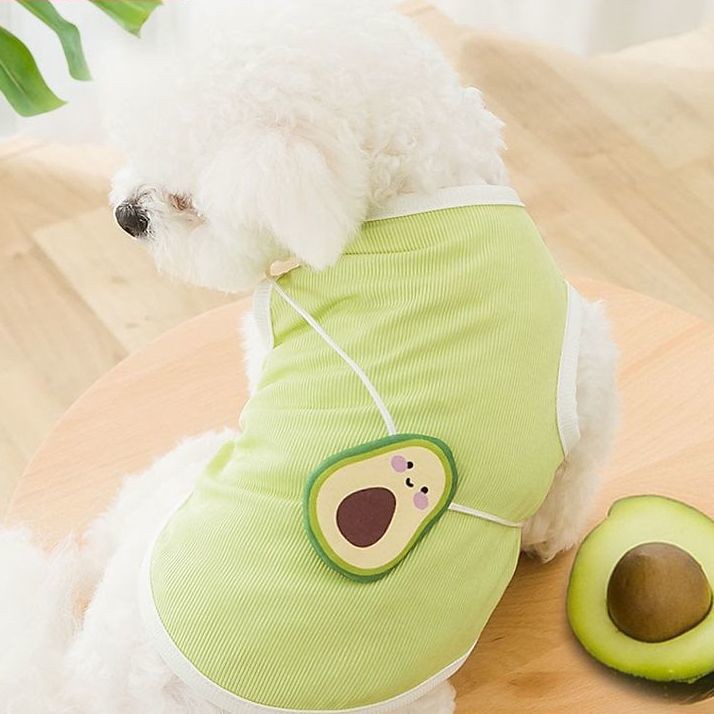 Áo vest bảnh bao quần mỏng mùa xuân và hè cho chó con Teddy Bichon Pomeranian thú cưng nhỏ mèo