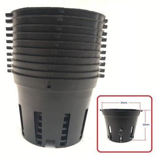 100 Chậu trồng lan đen F14