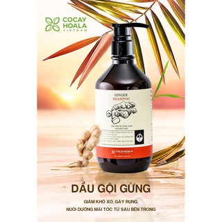 Dầu gội Gừng COCAYHOALA giảm rụng, làm ấm da đầu, kích thích mọc tóc cho mẹ bầu & sau sinh